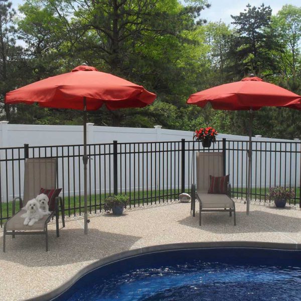 Dogs sitting by the pool near inground umbrella stand